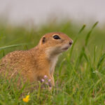 Erlebe ganz viel Natur
