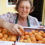 d_nö_marille 111 by steve haider 2013